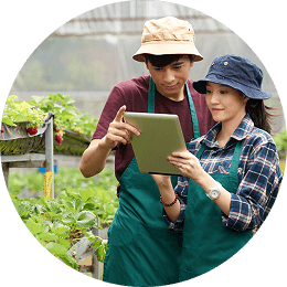 AI Powered Healthcare Solutions