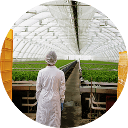 AR/VR Healthcare App Development