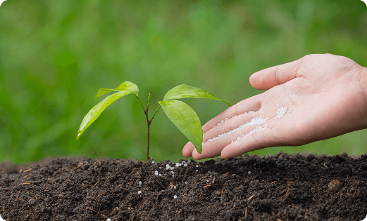 Crop & Soil Management