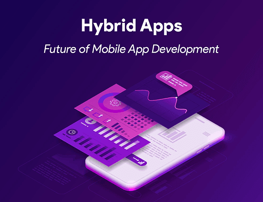 Web Development Company