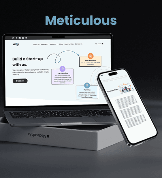 Meticulousplans- Business Planning